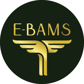 Logotipo E-bams - Crecimiento para e-commerces